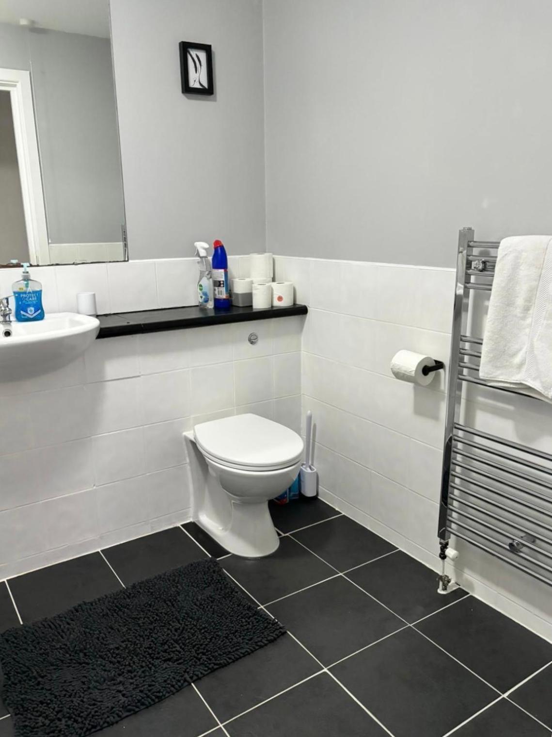 2 Bedroom Ground Floor Apartment Belfast Buitenkant foto